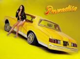 0405lrm_paradise04_z.jpg
