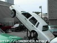 F513285260_www.lowrider.new.fr.jpg